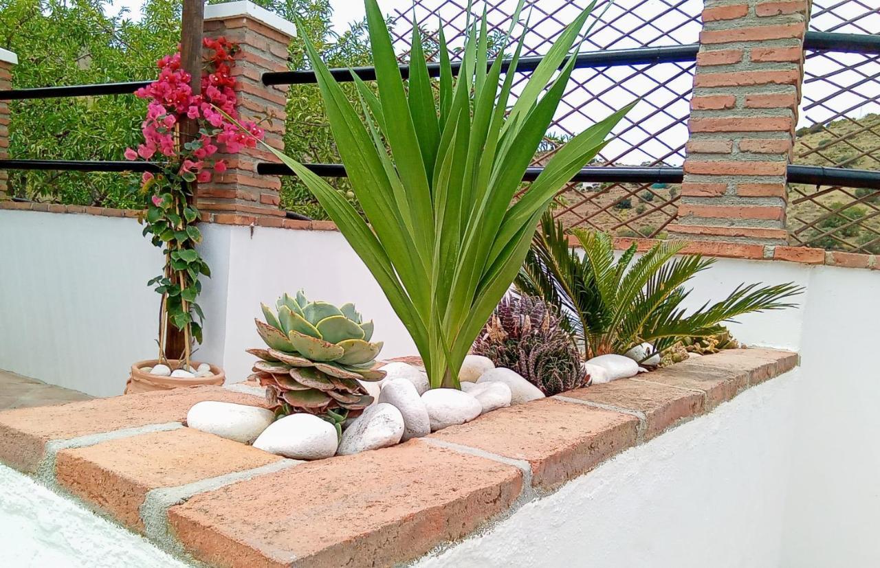 Bed and Breakfast Casa Lima Виньуэла Экстерьер фото